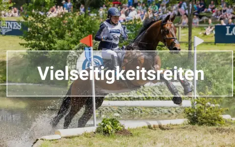 Ein Reiter und sein Pferd überwinden einen Wassergraben bei einem Vielseitigkeitsreiten-Wettbewerb.