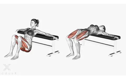 Frauen führen Hip Thrusts auf einer Bank aus, um ihre Gesäßmuskulatur zu trainieren.