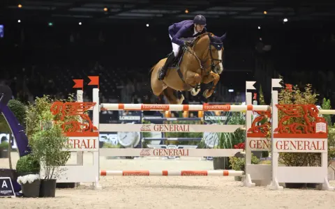 Un cavalier allemand CSO saute un obstacle dans une arène intérieure, sous les lumières vives.