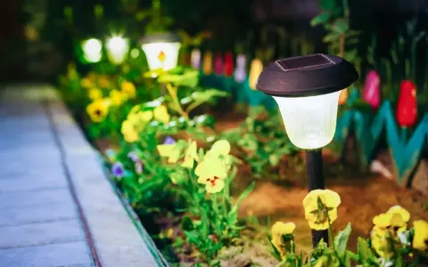 Giardino illuminato da lampade solari, un'idea per il tuo giardino fai da te a costo zero. Fiori gialli e viola illuminano il sentiero.
