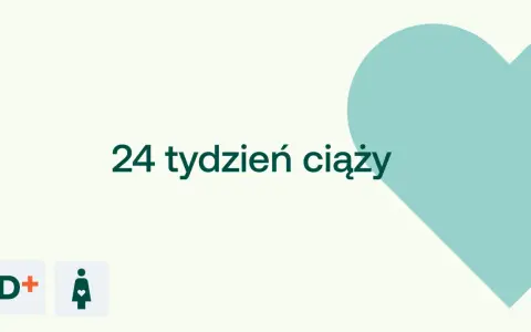 24 tydzień ciąży to już szósty miesiąc. Na jasnym tle, obok symboli D+ i kobiety w ciąży, widnieje duża, turkusowa serce.