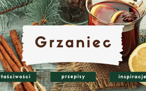 Grzaniec: Jak zrobić idealny napój rozgrzewający? Przepisy