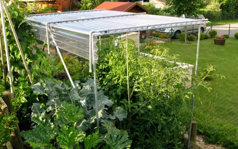 Structure simple pour comment fabriquer toit pour tomates, protégeant les plants des intempéries.