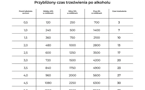Ile schodzi 4 piwa? Czas trzeźwienia i bezpieczna jazda