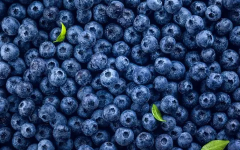 Mnóstwo soczystych borówek amerykańskich, idealnych na zdrową przekąskę. Niska zawartość kcal sprawia, że to świetny wybór.