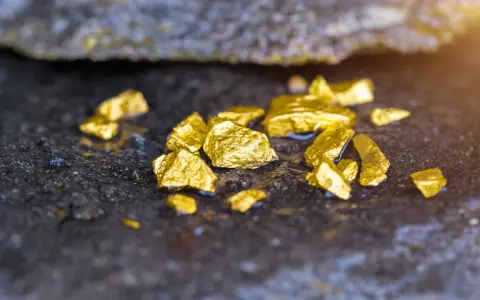 Pepite d'oro luccicanti su roccia umida. Scopri cosa significa oro 585, un metallo prezioso con una storia millenaria.