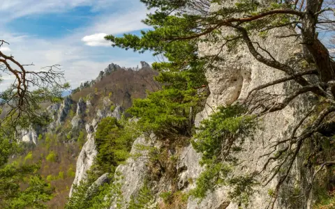 Majestatyczne sulowskie skały wznoszą się na tle błękitnego nieba z chmurami. Drzewa iglaste oplatają skalne zbocza, tworząc malowniczy krajobraz.