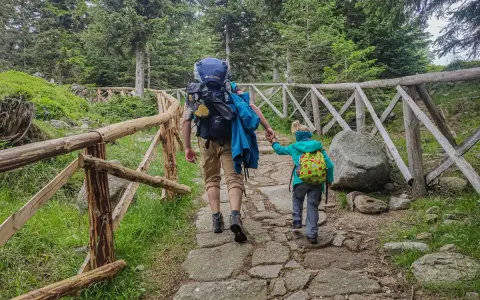 Dzieci i dorośli idą kamienistym szlakiem w Karkonoszach, otoczeni lasem. To piękna wyprawa, jak pielgrzymy w Karpaczu.