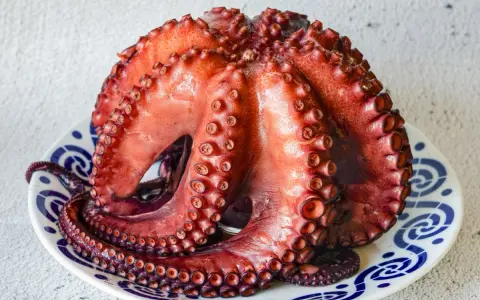 Pulpo cocido en plato, listo para calcular el tiempo de cocción del pulpo por kilo.