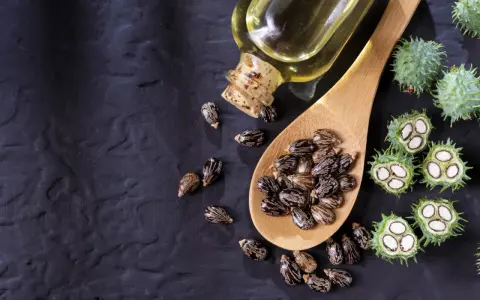 Semi di ricino e olio di ricino spalmato sulla pancia per un rimedio naturale.