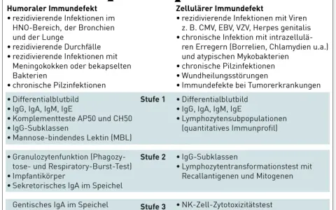 Die wichtige Rolle der Immundefekt Diagnostik im Gesundheitswesen