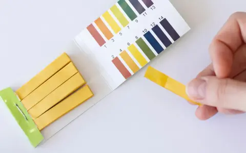Teststreifen zeigen einen pH-Wert von 7 an. Ein **blasensprung nicht bemerkt**? Keine Sorge, der Test ist negativ.