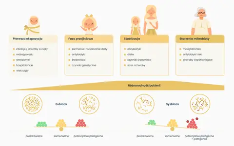 Diagram przedstawia etapy kształtowania się mikrobioty jelitowej od narodzin do starości, porównując eubiozę i dysbiozę.