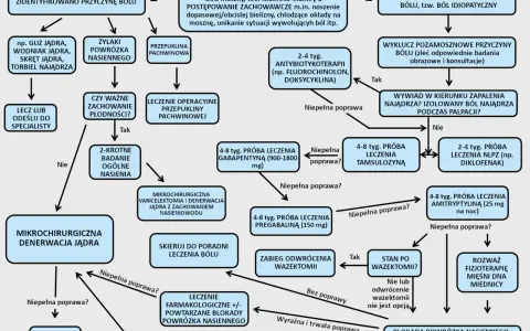 Schemat diagnostyki bólu jądra przy dotyku. Wskazuje na możliwe przyczyny i metody leczenia, od farmakologii po zabiegi chirurgiczne.