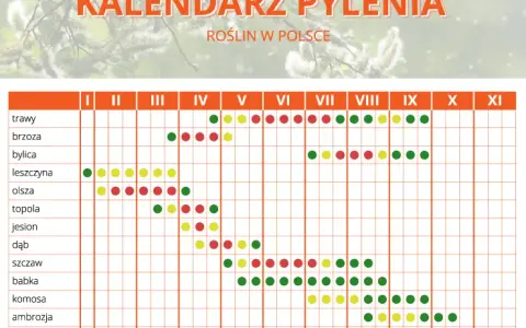 Co pyli w Szczecinie w listopadzie? Alergiku, sprawdź!