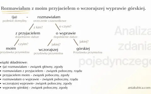 Schemat analizy zdania pojedynczego: "Rozmawiałam z moim przyjacielem o wczorajszej wyprawie górskiej.