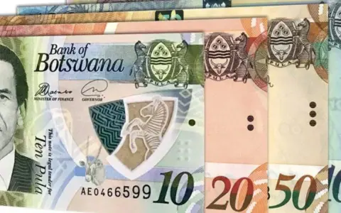 Różne banknoty botwańskiej waluty, Pula, z wizerunkiem zebry i godłem.