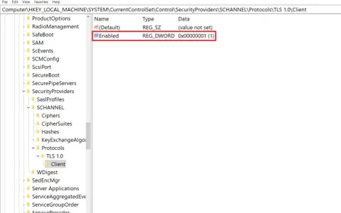 Registry Editor shows the "Enabled" DWORD value set to 1 under TLS 1.0\Client, indicating that TLS 1.2 is enabled.