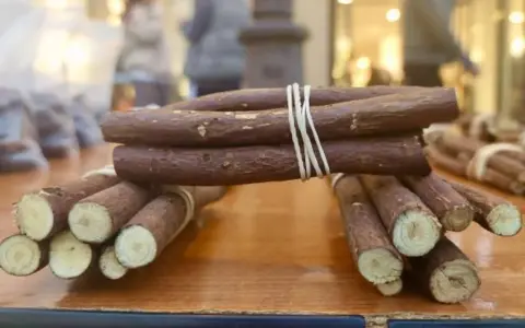Raíces de regaliz atadas con gomas elásticas, mostrando de donde sale el regaliz.