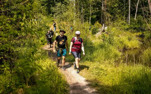 Gruppe wandert auf einem schmalen Pfad durch üppiges Grün. Die Sonne scheint, und die Natur lädt zu entspannten spiele beim wandern ein.