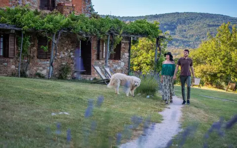 Coppia passeggia con cane in un casale in pietra, tra viti e colline. Sassetta cosa vedere: un luogo da sogno.