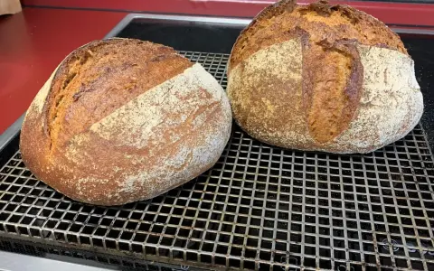 Zwei frisch gebackene, rustikale Brote mit knuspriger Kruste und lockerer Krume ruhen auf einem Gitter. Dieses 60 Stunden Brot ist ein Meisterwerk.