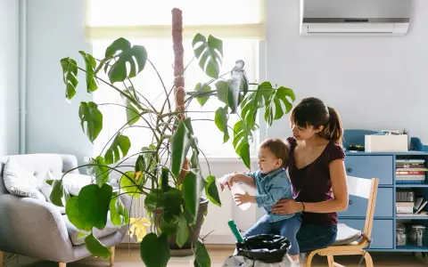 Madre e hijo riegan una planta grande. El aire acondicionado huele a humedad, pero la escena es acogedora.