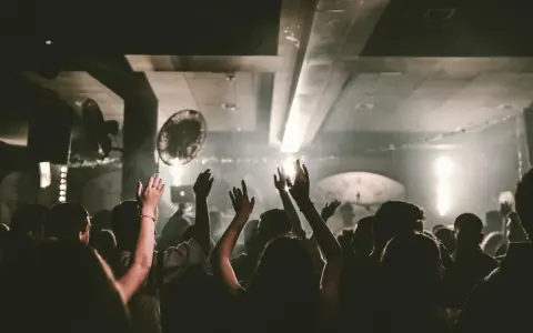 Tłum na koncercie, ręce w górze, atmosfera jak na występie phonk artists.