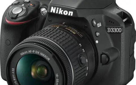 Nikon lustrzanka D3300 - idealny wybór dla początkujących fotografów