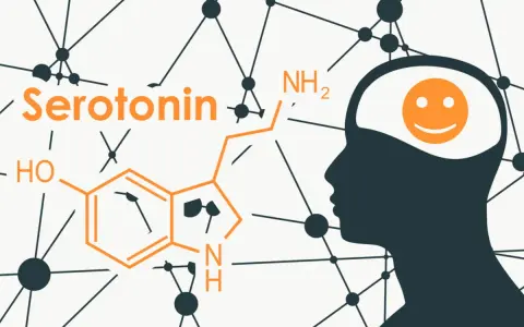 Profilo umano con simbolo di felicità nel cervello, accanto alla formula chimica della serotonina. La dopamina e la serotonina influenzano l'umore.