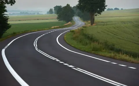 Zakręt drogi z podwójną ciągłą linią, otoczony polami i drzewami. Kierowca rozważa wyprzedzanie na podwójnej ciągłej.