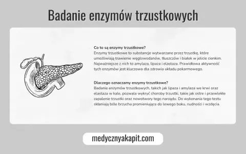 Ilustracja trzustki. Badanie enzymów trzustkowych, w tym lipazy, pomaga wykryć choroby tego narządu.