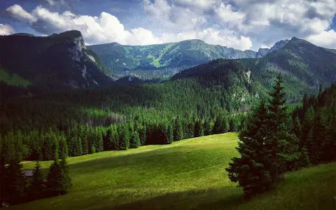 Tatry widziane z Zakopanego: zielone hale, gęste lasy świerkowe i skaliste szczyty pod chmurami.