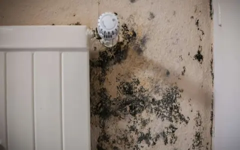 Schwarzer Schimmel breitet sich an der Wand neben einem Heizkörper aus. Dies kann ein Hinweis auf unsichtbaren Schimmel in der Wohnung und dessen Symptome sein.