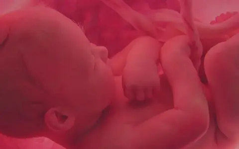 Dziecko w łonie matki, otoczone pępowiną. Obraz symbolizuje modlitwę w intencji nienarodzonego dziecka i jego zdrowia.