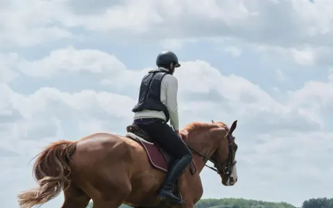 Cavalier en tenue d'équitation sur un cheval bai, sous un ciel nuageux. La tête d'arsouille du cheval est visible, prête pour l'aventure.
