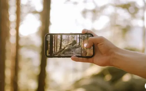 Main d'une personne tenant un smartphone pour prendre une photo d'un paysage forestier avec des rochers et des arbres.