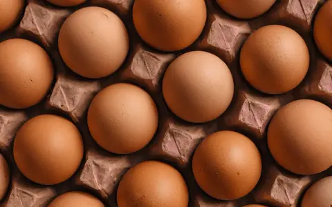 Huevos marrones en una bandeja de cartón, listos para ser usados en hostelería.