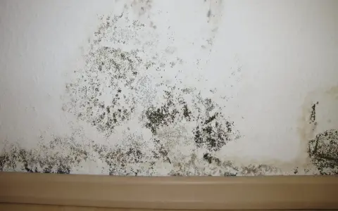 Schimmel im Treppenhaus breitet sich an der weißen Wand aus. Dunkle Flecken und Sporen bedecken den unteren Bereich, ein deutliches Zeichen für Feuchtigkeitsprobleme.