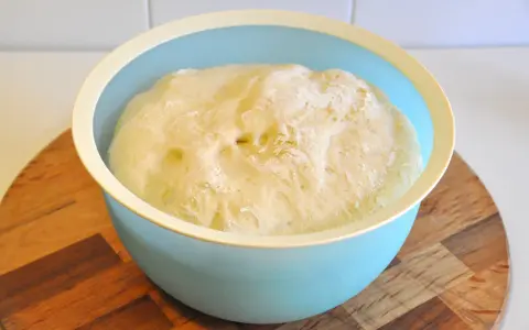 Impasto pizza bimby lievitato in una ciotola azzurra, pronto per essere steso.