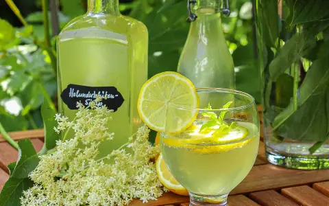Erfrischendes Glas mit selbstgemachtem Holunderblütensirup, Zitrone und Minze. Daneben Flaschen mit dem Sirup und frische Holunderblüten.