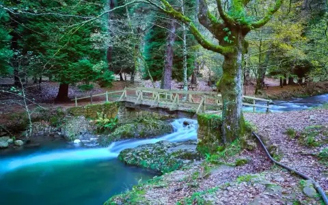 Puente de madera sobre río turquesa, ideal para rutas con niños en Cantabria. Bosque frondoso y cascada.