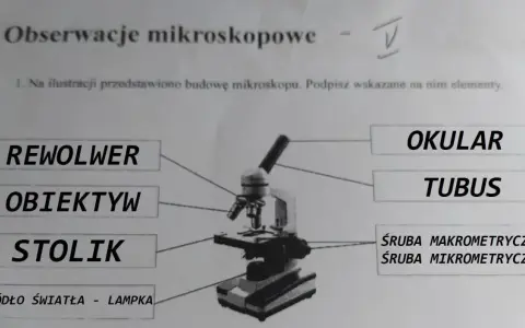 Obiektyw mikroskopu: kluczowe funkcje i zastosowania w mikroskopii