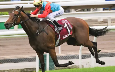Un jockey sur un cheval brun, portant la casaque "KA YING RISING", participe à une course. Ces chevaux connus sont des athlètes d'exception.