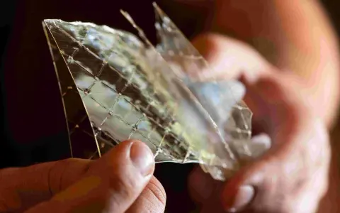 Hände halten ein Stück Gelatine, das wie Glas zerbrochen ist. Die feinen Linien zeigen die vielfältige Gelatine Verwendung in der Küche.