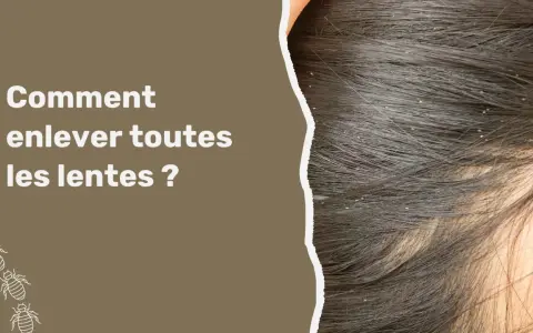 Gros plan sur des cheveux sombres infestés de lentes. Le texte "Comment enlever toutes les lentes ?" apparaît à gauche, avec des illustrations de poux en bas.