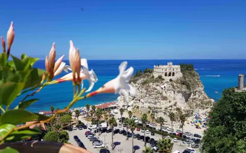 Fiori bianchi in primo piano con vista su Tropea e dintorni: il Santuario, la spiaggia affollata e il mare blu.