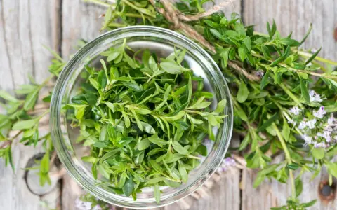 Świeży tymianek w szklanej miseczce, gotowy do użycia. Gałązki z drobnymi kwiatkami podkreślają jego naturalne piękno, jakby przygotowany dla przyszłej mamy.