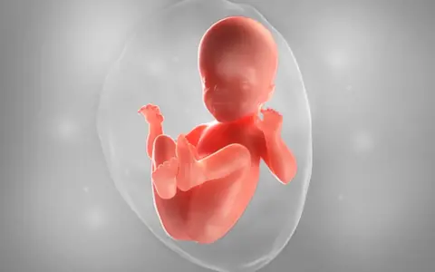 Ein Baby in der 26. SSW, das sich im Fruchtwasser entwickelt. Es ist in einer schützenden Blase, bereit für das Leben.