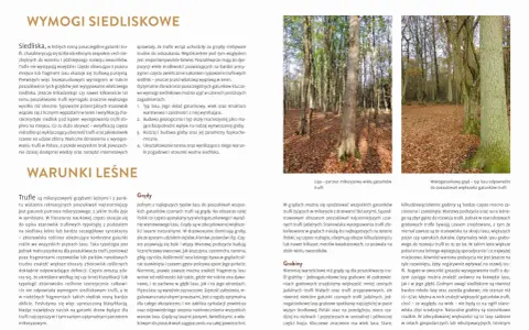 Wskazówki, jak znaleźć trufle: lasy liściaste, grądy i grabiny, wiek drzewostanu i rodzaj gleby to kluczowe czynniki.